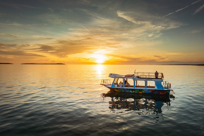 Dolphin Safari in Fažana - Searching for dolphins in the open sea