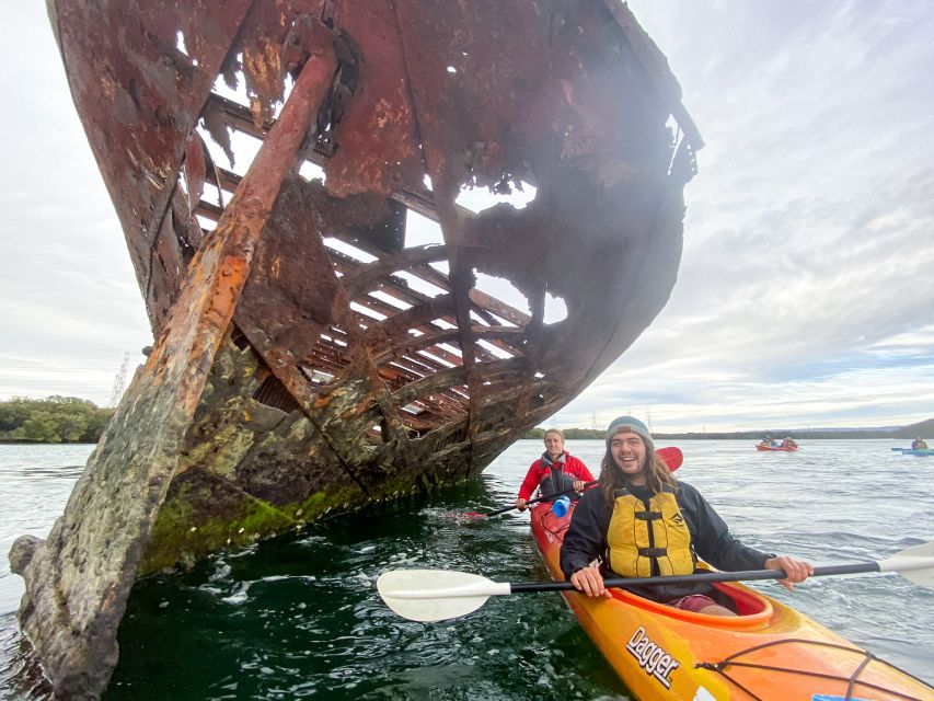 Dolphin Sanctuary and Ships Graveyard Kayak Tour - What the $55 price really buys you