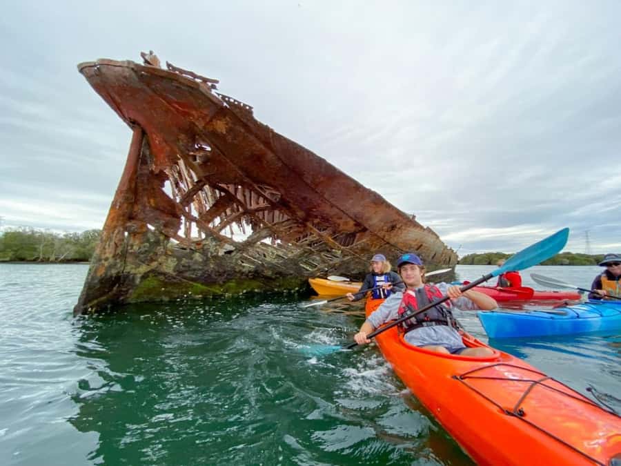 Dolphin Sanctuary and Ships Graveyard Kayak Tour - Safety instruction for first-time paddlers