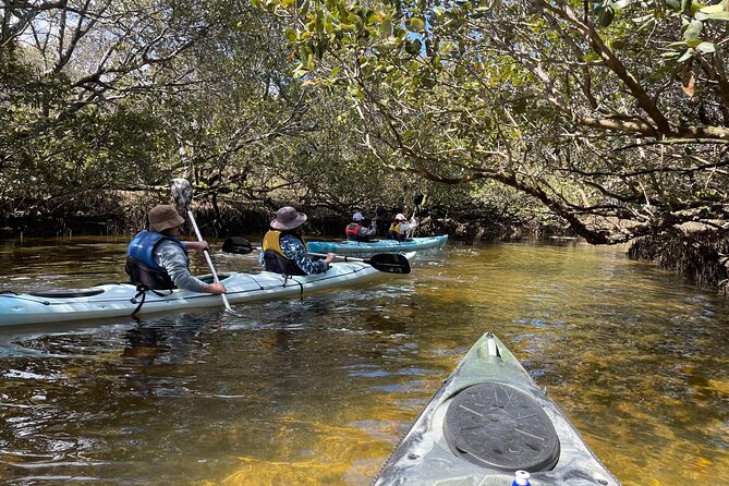 Dolphin Sanctuary Kayak Tour Adelaide - The experience at a glance