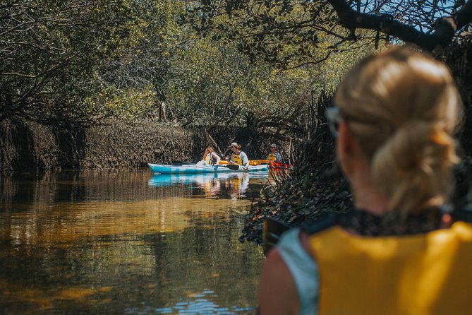 Dolphin Sanctuary Kayak Tour Adelaide - Who will enjoy this paddle most?