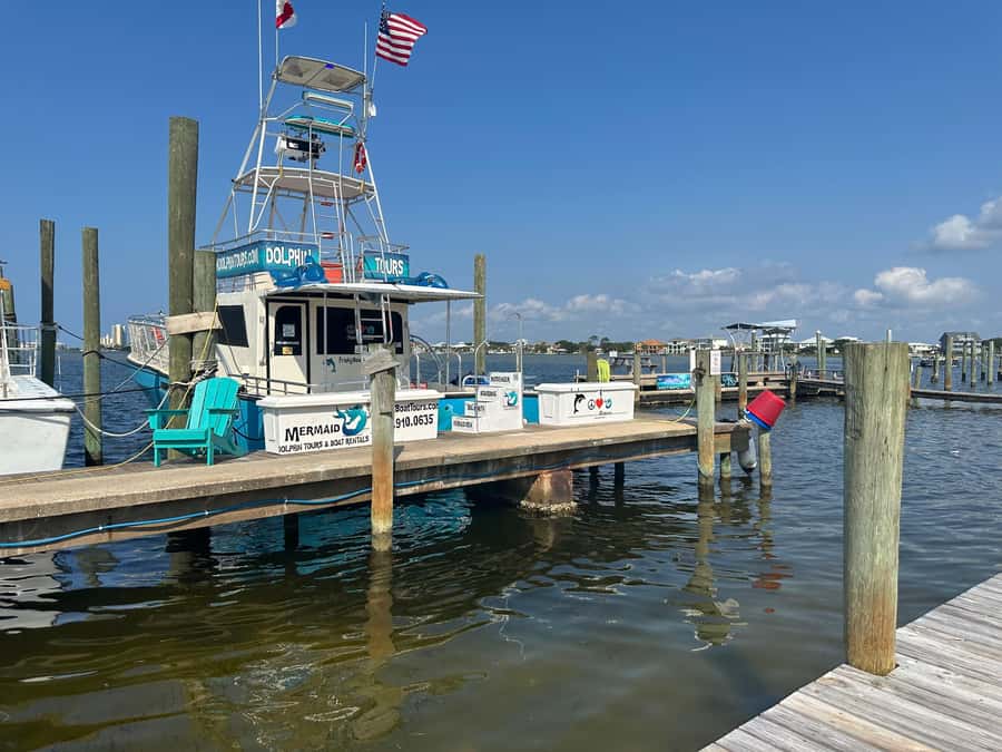 Dolphin & Scenic Bay Sightseeing Cruise Up to 49, Pensacola - Key points at a glance