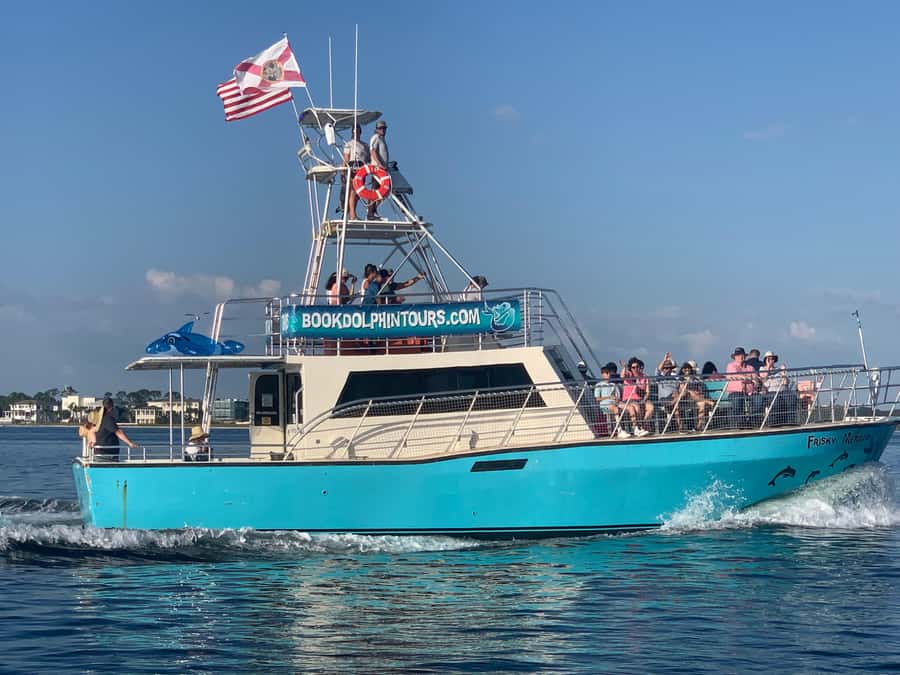 Dolphin & Scenic Bay Sightseeing Cruise Up to 49, Pensacola - Practical tips for a better outing