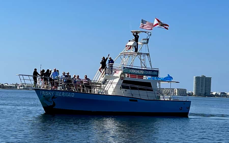 Dolphin & Scenic Bay Sightseeing Cruise Up to 49, Pensacola - Pensacola Beach from the water
