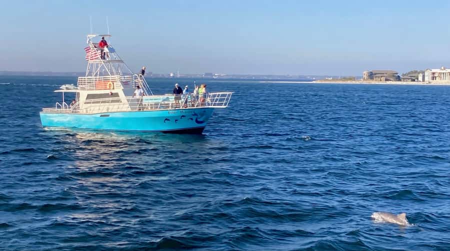 Dolphin & Scenic Bay Sightseeing Cruise Up to 49, Pensacola - Safety and weather decisions