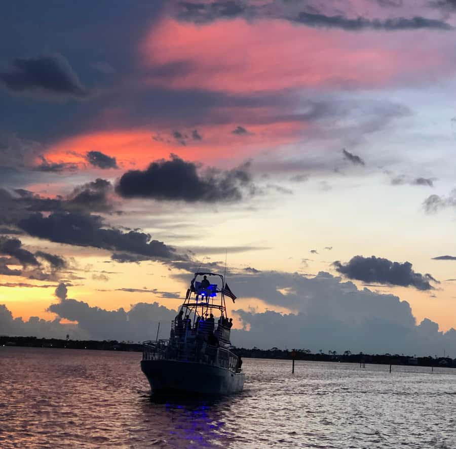 Dolphin & Scenic Bay Sightseeing Cruise Up to 49, Pensacola - Who will enjoy this cruise most