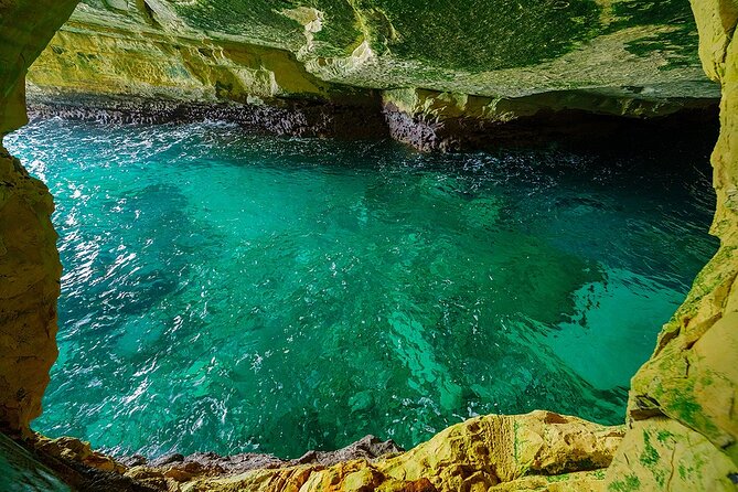 Dolphin, Sea Cave, Captain Cook, Kealakekua Bay Reef Snorkeling - Why this Kona snorkeling trip feels different