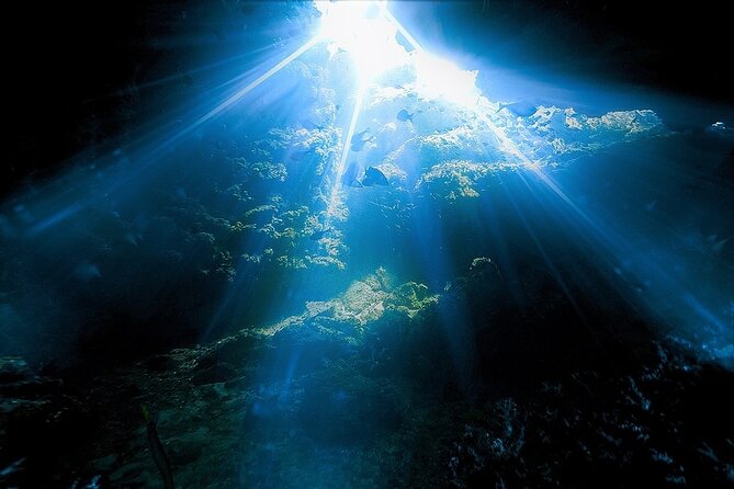 Dolphin, Sea Cave, Captain Cook, Kealakekua Bay Reef Snorkeling - What to bring and how to prepare