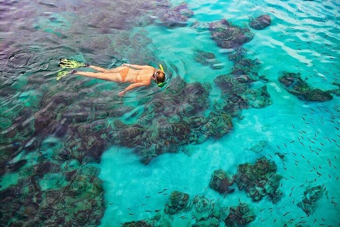 Dolphin, Sea Cave & Captain Cook Snorkel Combo in Kealakekua Bay - A fast start from the Kona coast