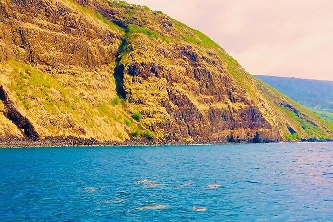 Dolphin, Sea Cave & Captain Cook Snorkel Combo in Kealakekua Bay - Choosing between the small boat and a larger vessel