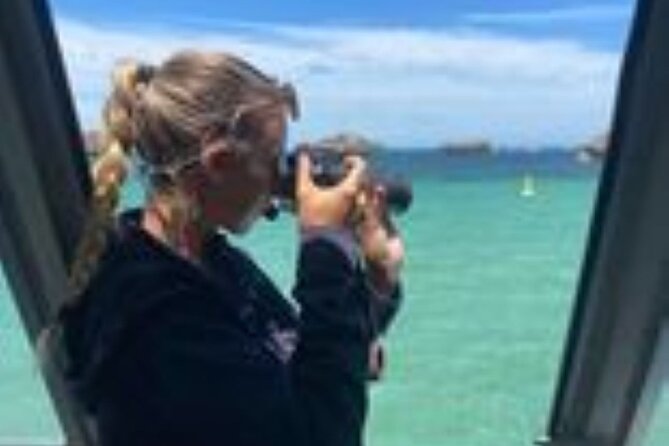 Dolphin, Sea Lion and Penguin Island Cruise - Boat comfort, viewing, and the glass-bottom question