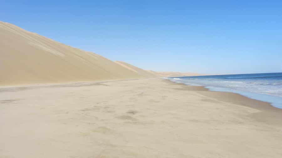 Dolphin & Seal cruise Sandwich harbour dune tour - Key points at a glance