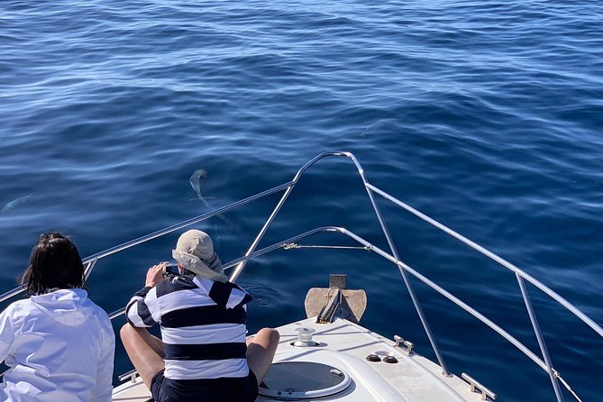 Dolphin Searching Tour in Puerto de Mogán ("KEEPER UNO" Boat) - Who should book the Keeper Uno?