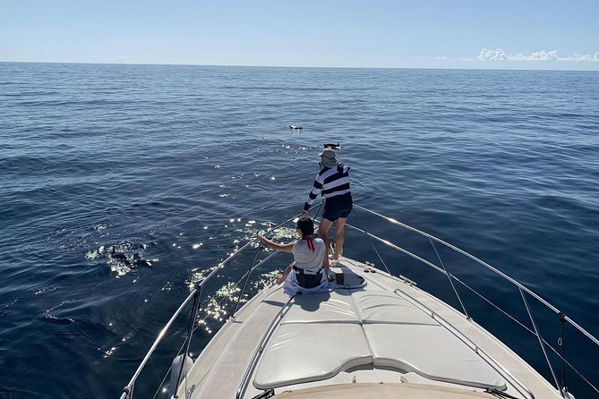 Dolphin Searching Tour in Puerto de Mogán ("KEEPER UNO" Boat) - Watching the coast from a compact yacht