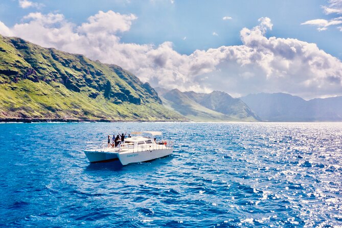 Dolphin & Seasonal Whale Watching, Turtle Snorkeling - Food, drinks, and what to bring
