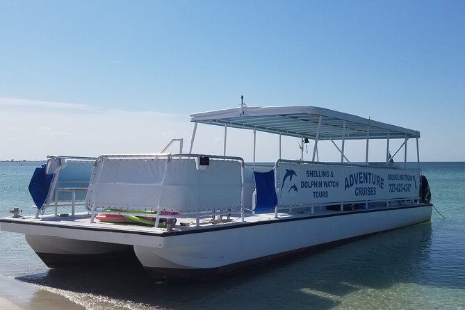 Dolphin /Shelling/Snorkeling tours Private Charters - Key details before you book