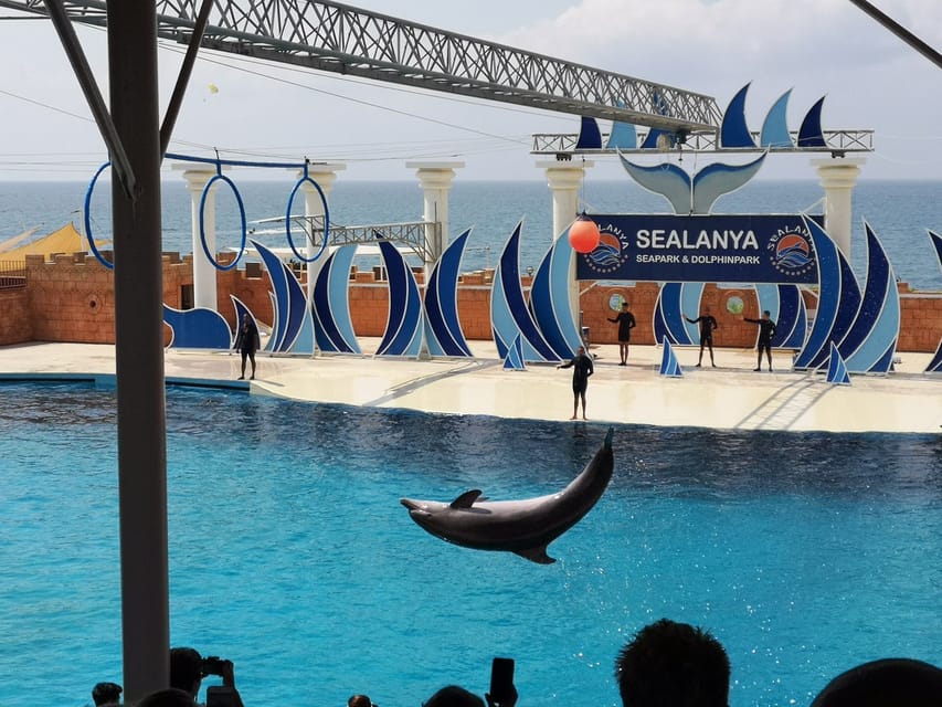 Dolphin Show Free Transfer From Alanya, Side, Kemer,Antalya - Swimming with dolphins costs extra