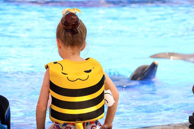 Dolphin Show & Photoshoot Package with Transfer from Hurghada - Key points before you book