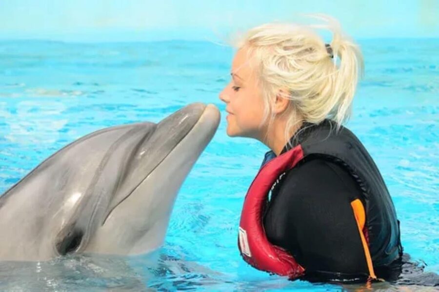 Dolphin Show Tour with Transfer from Alanya & Side - What the $41 price really covers