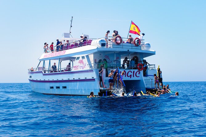 Dolphin Sightseeing Boat Tour from Benalmadena - A swim stop if the timing works