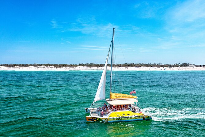 Dolphin Sightseeing Tour on the Footloose Catamaran - Key points to know before boarding