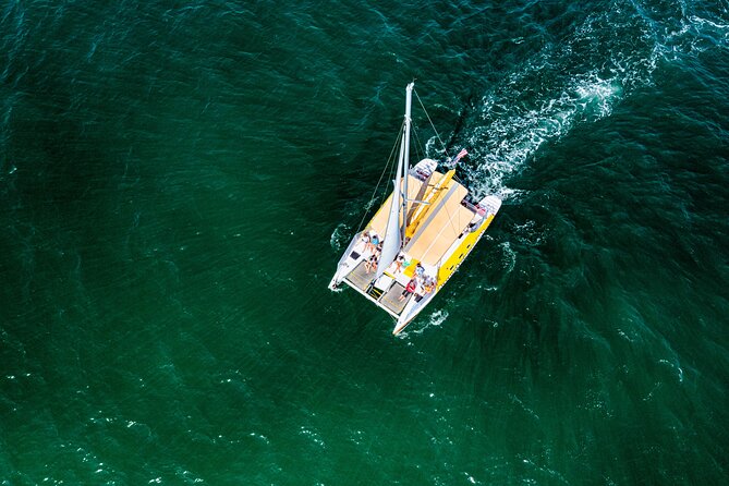 Dolphin Sightseeing Tour on the Footloose Catamaran - The front net, the best seat for some families