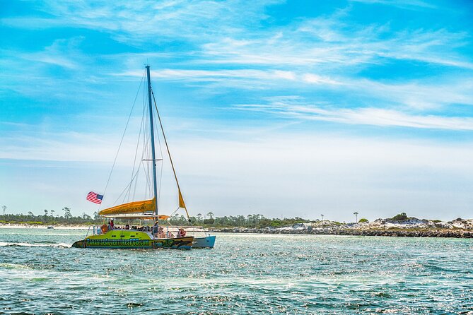 Dolphin Sightseeing Tour on the Footloose Catamaran - Weather, comfort, and practical preparation