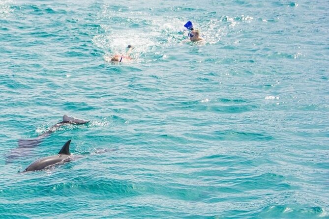 Dolphin Snorkel With private Speed Boat & Water Sports - Hurghada - What the crew adds to the experience