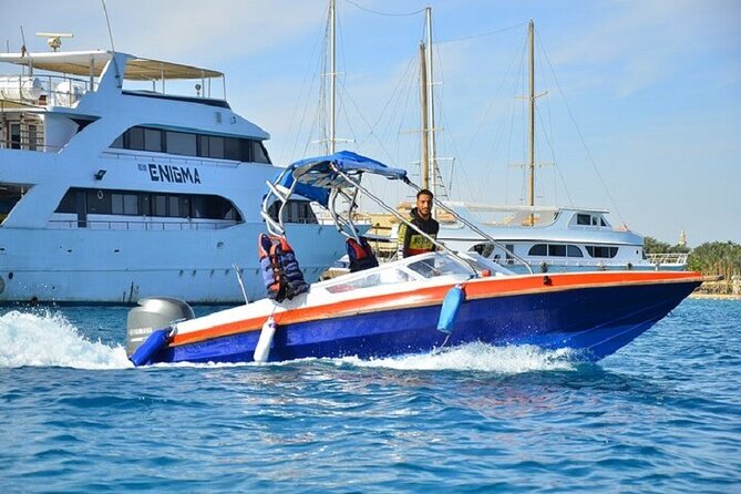 Dolphin Snorkel With private Speed Boat & Water Sports - Hurghada - Who will enjoy this private Hurghada trip?