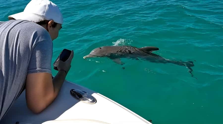 Dolphin & Snorkeling Key West - The sandbar stop is the calm finale