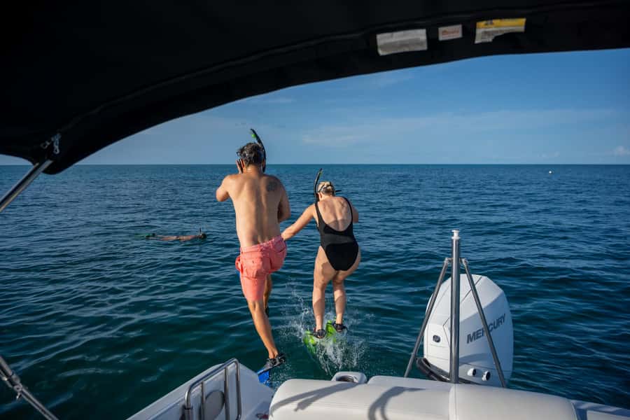 Dolphin & Snorkeling Key West - Should you book this Key West tour?