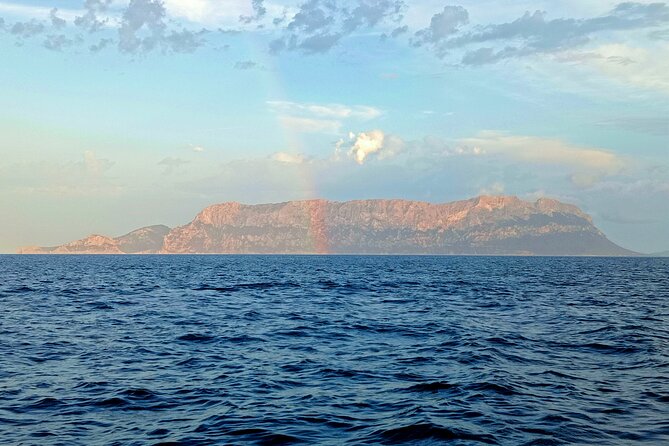 Dolphin spotting in the Gulf of Olbia - Starting at Chiringuito Bados