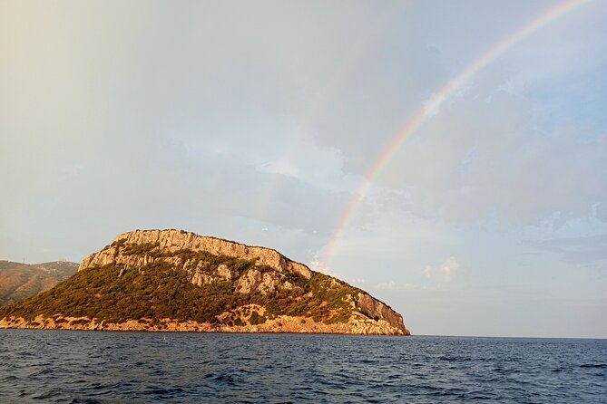 Dolphin spotting in the Gulf of Olbia - Cruising beneath the cliffs of Capo Figari