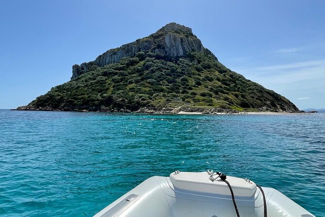 Dolphin spotting in the Gulf of Olbia - How the small group changes the experience