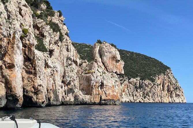 Dolphin spotting in the Gulf of Olbia - Timing, language, and comfort