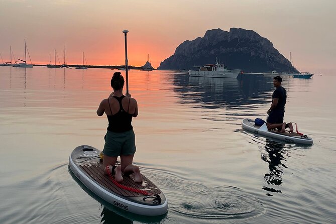 Dolphin-spotting SUP tour with Golfo Aranci aperitif - Key points to know before booking