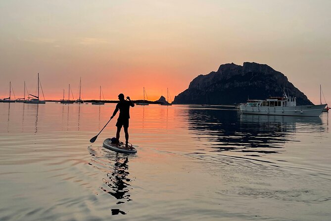 Dolphin-spotting SUP tour with Golfo Aranci aperitif - Breaks, swimming, and the food stop