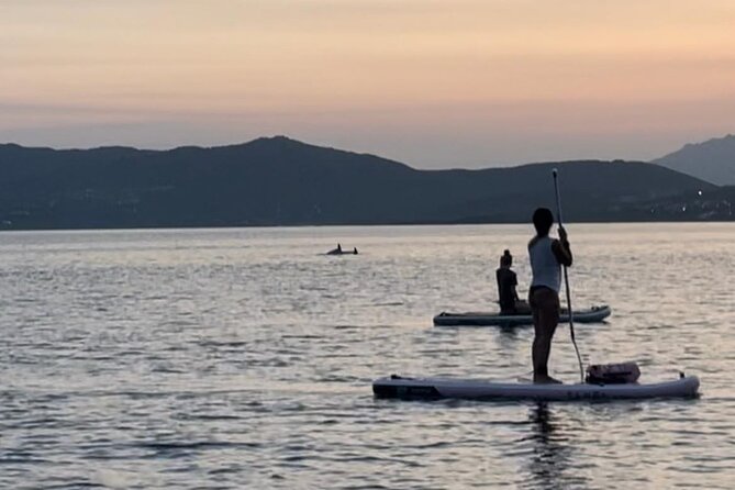 Dolphin-spotting SUP tour with Golfo Aranci aperitif - How good is the dolphin-spotting promise?