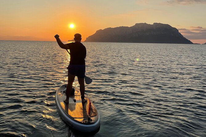 Dolphin-spotting SUP tour with Golfo Aranci aperitif - How the guides shape the experience
