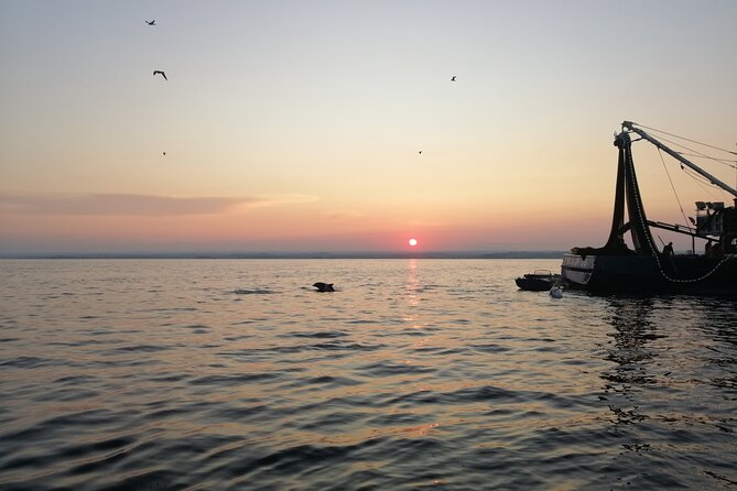 Dolphin Sunrise Adventure with Speedboat - Why this early boat trip is different