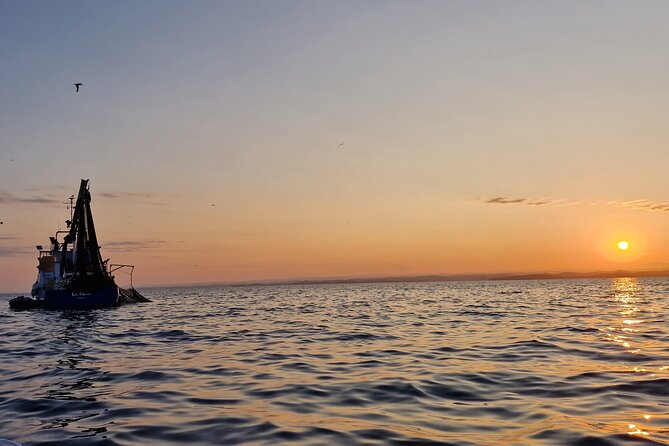 Dolphin Sunrise Adventure with Speedboat - Watching fishing boats and hungry dolphins