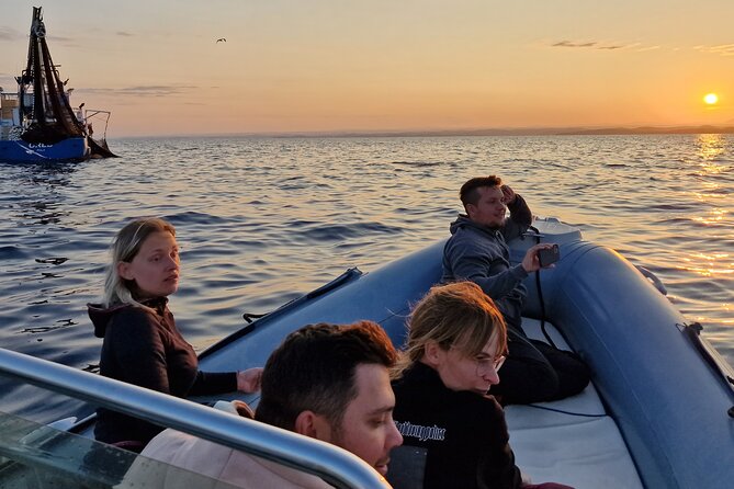 Dolphin Sunrise Adventure with Speedboat - Is $42.17 good value?
