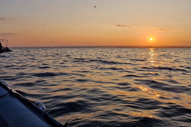 Dolphin Sunrise Adventure with Speedboat - Who will enjoy this most