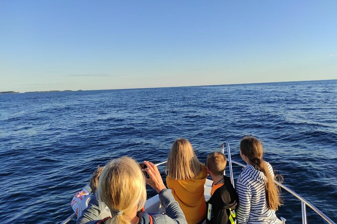 Dolphin Sunset Adventure with Speedboat - Boat size, group size, and comfort