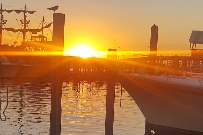 Dolphin & Sunset Cruises in Destin FL aboard the Hydrojet - Getting wet is part of the design