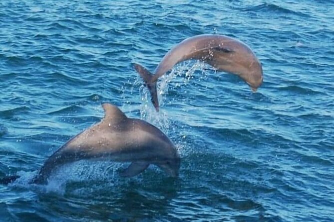 Dolphin & Sunset Cruises - Leaving Destin Harbor for open water
