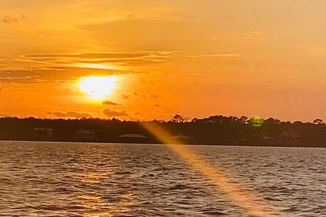Dolphin Sunset Tour in Orange Beach - At a glance: the details that matter