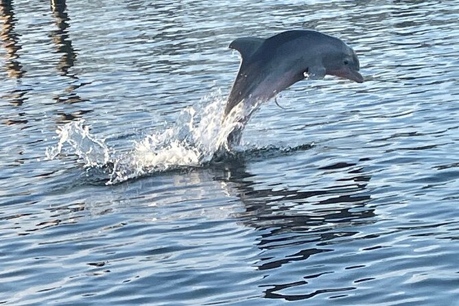 Dolphin Sunset Tour in Orange Beach - Setting out from Orange Beach’s back bays