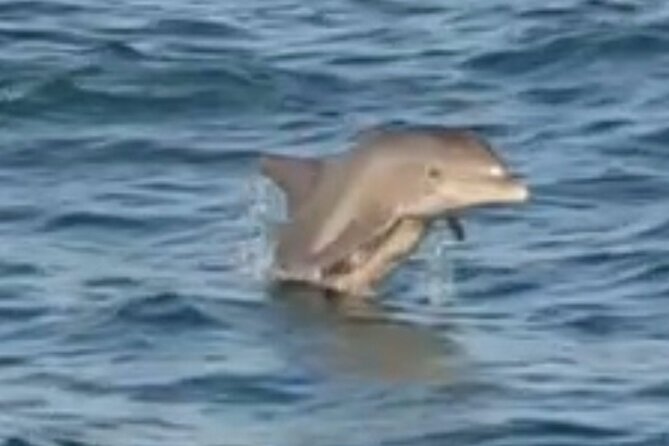 Dolphin Sunset Tour in Orange Beach - The sunset timing and what to plan around it