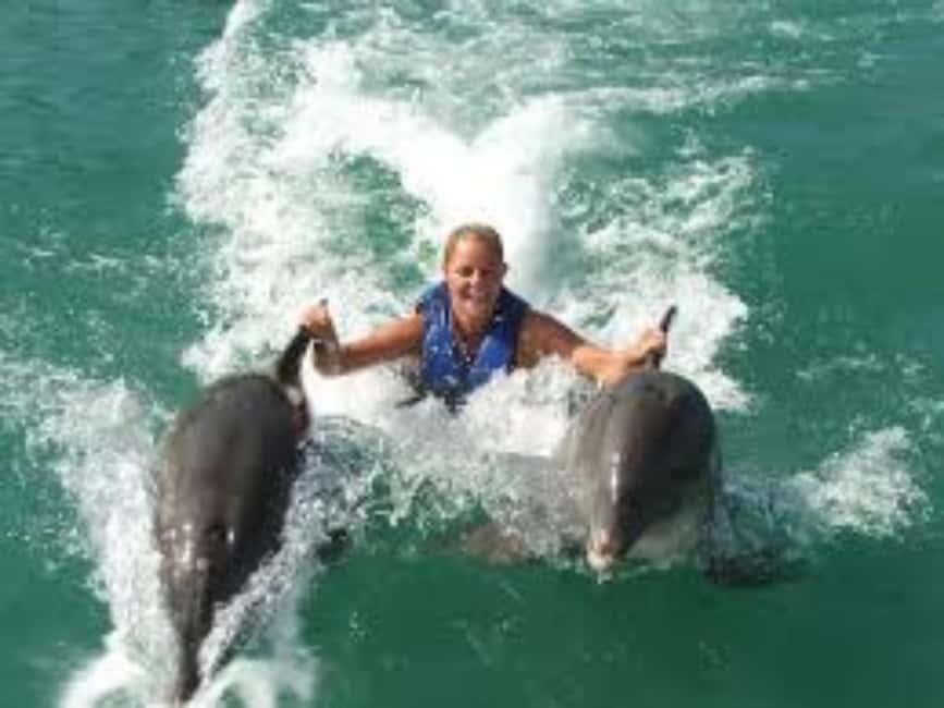 Dolphin Swim Adventure - What the three-hour Dolphin Cove visit feels like